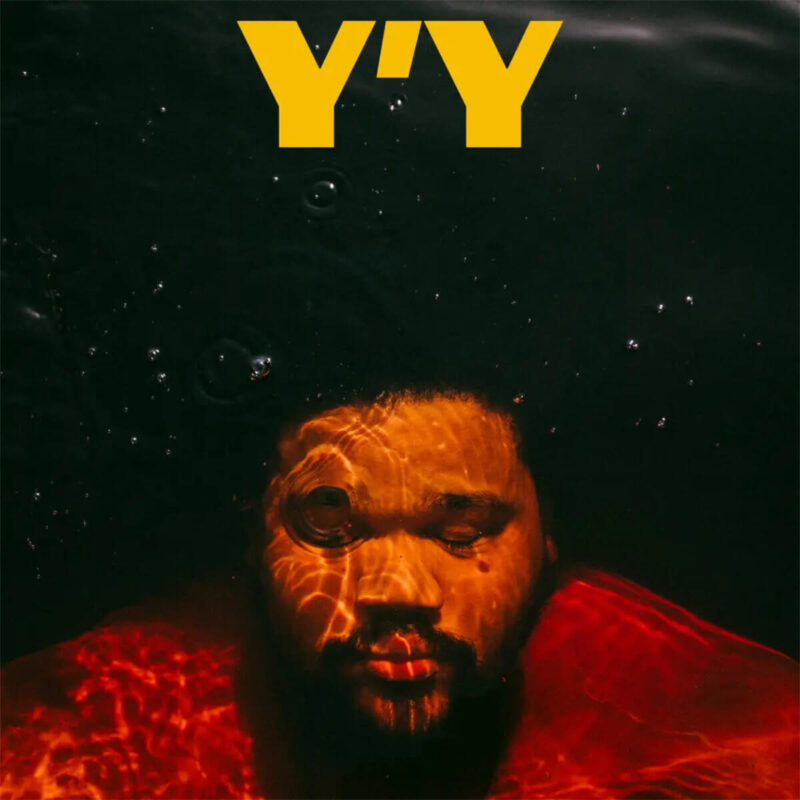 『Y'Y』(2024)